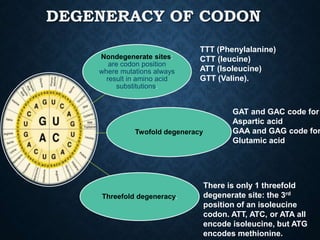 Valine Codoncode best presentation on codon bias and its appliaction | PPTX