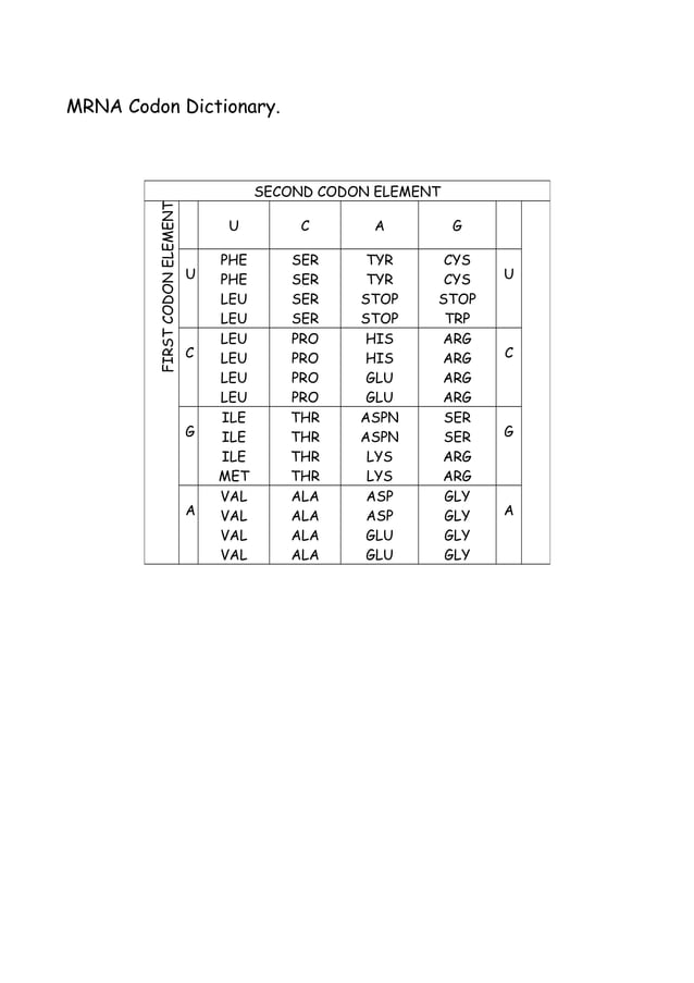 Codon Dictionary | DOC