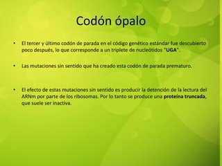 Codones inicion y terminacion | PPTX
