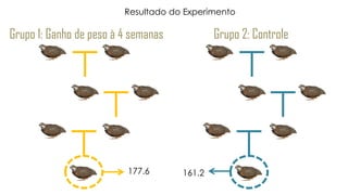 Grupo 1: Ganho de peso à 4 semanas Grupo 2: Controle
177.6 161.2
Resultado do Experimento
 