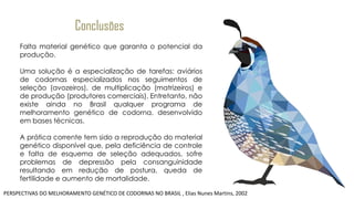 Conclusões
Falta material genético que garanta o potencial da
produção.
Uma solução é a especialização de tarefas: aviários
de codornas especializados nos seguimentos de
seleção (avozeiros), de multiplicação (matrizeiros) e
de produção (produtores comerciais). Entretanto, não
existe ainda no Brasil qualquer programa de
melhoramento genético de codorna, desenvolvido
em bases técnicas.
A prática corrente tem sido a reprodução do material
genético disponível que, pela deficiência de controle
e falta de esquema de seleção adequados, sofre
problemas de depressão pela consanguinidade
resultando em redução de postura, queda de
fertilidade e aumento de mortalidade.
PERSPECTIVAS DO MELHORAMENTO GENÉTICO DE CODORNAS NO BRASIL , Elias Nunes Martins, 2002
 