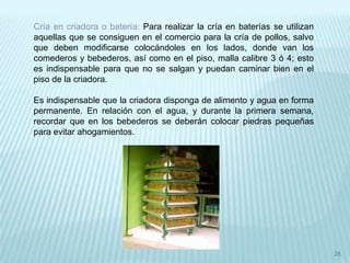 Cría en criadora o batería: Para realizar la cría en baterías se utilizan
aquellas que se consiguen en el comercio para la cría de pollos, salvo
que deben modificarse colocándoles en los lados, donde van los
comederos y bebederos, así como en el piso, malla calibre 3 ó 4; esto
es indispensable para que no se salgan y puedan caminar bien en el
piso de la criadora.

Es indispensable que la criadora disponga de alimento y agua en forma
permanente. En relación con el agua, y durante la primera semana,
recordar que en los bebederos se deberán colocar piedras pequeñas
para evitar ahogamientos.




                                                                            28
 