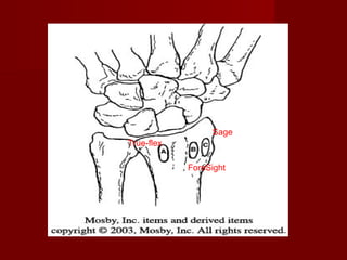 Sage
True-flex

            ForeSight
 