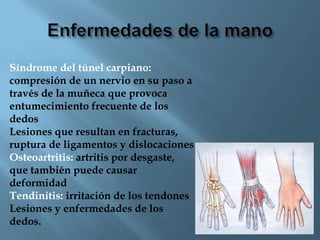 El Síndrome del Túnel Carpiano (STC) es una
patología que afecta a la mano, provocada por una
presión sobre el nervio medi...