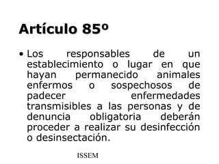 Artículo 85º
• Los     responsables      de     un
  establecimiento o lugar en que
  hayan     permanecido      animales
  enfermos     o    sospechosos    de
  padecer               enfermedades
  transmisibles a las personas y de
  denuncia     obligatoria    deberán
  proceder a realizar su desinfección
  o desinsectación.
           ISSEM
 