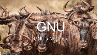 2©2020 VMware, Inc.
GNU
Photo by Charl Durand on Unsplash
GNU’s Not Unix
 