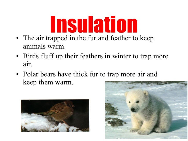 Coduction, convection and radiation