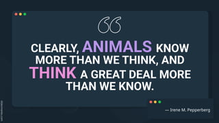 CLEARLY, ANIMALS KNOW
MORE THAN WE THINK, AND
THINK A GREAT DEAL MORE
THAN WE KNOW.
― Irene M. Pepperberg
 
