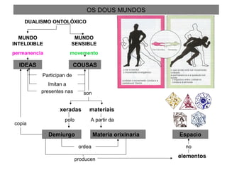 OS DOUS MUNDOS
DUALISMO ONTOLÓXICO
MUNDO
INTELIXIBLE
permanencia
MUNDO
SENSIBLE
movemento
IDEAS COUSAS
Participan de
Imitan a
presentes nas son
xeradas materiais
polo A partir da
Materia orixinariaDemiurgo
copia
ordea
producen
elementos
no
Espacio
 