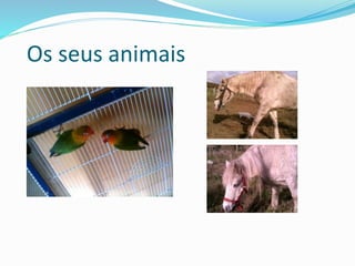 Os seus animais
 