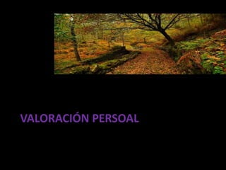 VALORACIÓN PERSOAL
 