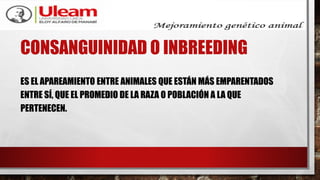 CONSANGUINIDAD O INBREEDING
ES EL APAREAMIENTO ENTRE ANIMALES QUE ESTÁN MÁS EMPARENTADOS
ENTRE SÍ, QUE EL PROMEDIO DE LA RAZA O POBLACIÓN A LA QUE
PERTENECEN.
 