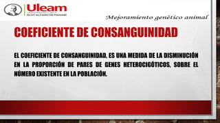 COEFICIENTE DE CONSANGUINIDAD
EL COEFICIENTE DE CONSANGUINIDAD, ES UNA MEDIDA DE LA DISMINUCIÓN
EN LA PROPORCIÓN DE PARES DE GENES HETEROCIGÓTICOS, SOBRE EL
NÚMERO EXISTENTE EN LA POBLACIÓN.
 