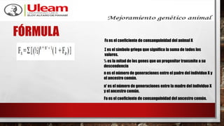 FÓRMULA Fx es el coeficiente de consanguinidad del animal X
Σ es el símbolo griego que significa la suma de todos los
valores.
½ es la mitad de los genes que un progenitor transmite a su
descendencia
n es el número de generaciones entre el padre del individuo X y
el ancestro común.
n' es el número de generaciones entre la madre del individuo X
y el ancestro común.
Fa es el coeficiente de consanguinidad del ancestro común.
 