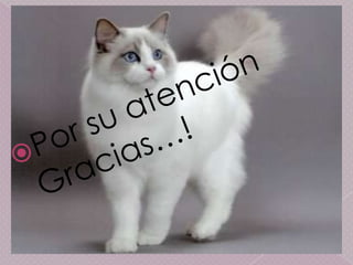 Coeficiente variacion