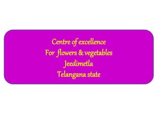 Centre of excellence
For flowers & vegetables
Jeedimetla
Telangana state
 