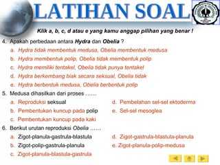 LATIHAN SOAL Klik a, b, c, d atau e yang kamu anggap pilihan yang benar ! 4.  Apakah perbedaan antara  Hydra  dan  Obelia  ? a.   Hydra  tidak   membentuk  medusa,  Obelia   membentuk  medusa b.   Hydra  membentuk   polip ,  Obelia   tidak   membentuk   polip c.   Hydra  memiliki   tentakel ,  Obelia   tidak   punya   tentakel d.   Hydra  berkembang   biak   secara   seksual ,  Obelia   tidak e.   Hydra  berbentuk  medusa,  Obelia   berbentuk   polip 5.  Medusa dihasilkan dari proses …… a.   Reproduksi   seksual d.   Pembelahan   sel-sel   ektoderma b.   Pembentukan   kuncup   pada   polip e.   Sel-sel   mesoglea c.   Pembentukan   kuncup   pada  kaki 6.  Berikut urutan reproduksi  Obelia  …… a.   Zigot-planula-gastrula-blastula d.   Zigot-gastrula-blastula-planula b.   Zigot-polip-gastrula-planula e.  Zigot-planula-polip-medusa c.   Zigot-planula-blastula-gastrula 