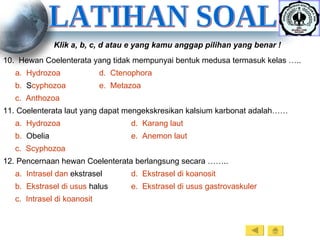 LATIHAN SOAL Klik a, b, c, d atau e yang kamu anggap pilihan yang benar ! 10.  Hewan Coelenterata yang tidak mempunyai bentuk medusa termasuk kelas ….. a.  Hydrozoa	 d.   Ctenophora b.   Scyphozoa 	 e.   Metazoa c.   Anthozoa 11. Coelenterata laut yang dapat mengekskresikan kalsium karbonat adalah…… a.  Hydrozoa d.   Karang   laut b.   Obelia e.   Anemon   laut c.   Scyphozoa 12. Pencernaan hewan Coelenterata berlangsung secara …….. a.   Intrasel   dan   ekstrasel d.   Ekstrasel   di   koanosit b.   Ekstrasel   di   usus   halus e.   Ekstrasel   di   usus   gastrovaskuler c.   Intrasel   di   koanosit 