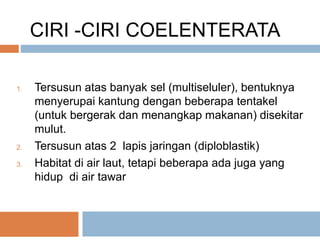 CIRI -CIRI COELENTERATA
1. Tersusun atas banyak sel (multiseluler), bentuknya
menyerupai kantung dengan beberapa tentakel
(untuk bergerak dan menangkap makanan) disekitar
mulut.
2. Tersusun atas 2 lapis jaringan (diploblastik)
3. Habitat di air laut, tetapi beberapa ada juga yang
hidup di air tawar
 