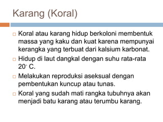 Karang (Koral)
 Koral atau karang hidup berkoloni membentuk
massa yang kaku dan kuat karena mempunyai
kerangka yang terbuat dari kalsium karbonat.
 Hidup di laut dangkal dengan suhu rata-rata
20◦ C.
 Melakukan reproduksi aseksual dengan
pembentukan kuncup atau tunas.
 Koral yang sudah mati rangka tubuhnya akan
menjadi batu karang atau terumbu karang.
 