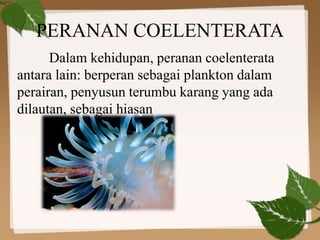 PERANAN COELENTERATA
Dalam kehidupan, peranan coelenterata
antara lain: berperan sebagai plankton dalam
perairan, penyusun terumbu karang yang ada
dilautan, sebagai hiasan
 