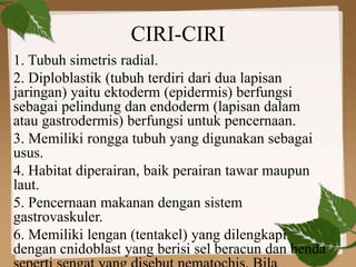 CIRI-CIRI
1. Tubuh simetris radial.
2. Diploblastik (tubuh terdiri dari dua lapisan
jaringan) yaitu ektoderm (epidermis) berfungsi
sebagai pelindung dan endoderm (lapisan dalam
atau gastrodermis) berfungsi untuk pencernaan.
3. Memiliki rongga tubuh yang digunakan sebagai
usus.
4. Habitat diperairan, baik perairan tawar maupun
laut.
5. Pencernaan makanan dengan sistem
gastrovaskuler.
6. Memiliki lengan (tentakel) yang dilengkapi
dengan cnidoblast yang berisi sel beracun dan benda
 