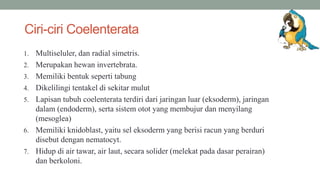 Ciri-ciri Coelenterata
1. Multiseluler, dan radial simetris.
2. Merupakan hewan invertebrata.
3. Memiliki bentuk seperti tabung
4. Dikelilingi tentakel di sekitar mulut
5. Lapisan tubuh coelenterata terdiri dari jaringan luar (eksoderm), jaringan
dalam (endoderm), serta sistem otot yang membujur dan menyilang
(mesoglea)
6. Memiliki knidoblast, yaitu sel eksoderm yang berisi racun yang berduri
disebut dengan nematocyt.
7. Hidup di air tawar, air laut, secara solider (melekat pada dasar perairan)
dan berkoloni.
 