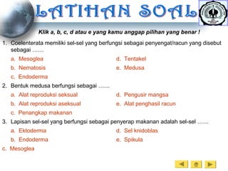 Klik a, b, c, d atau e yang kamu anggap pilihan yang benar !
1. Coelenterata memiliki sel-sel yang berfungsi sebagai penyengat/racun yang disebut
sebagai ……
a. Mesoglea d. Tentakel
b. Nematosis e. Medusa
c. Endoderma
2. Bentuk medusa berfungsi sebagai ……
a. Alat reproduksi seksual d. Pengusir mangsa
b. Alat reproduksi aseksual e. Alat penghasil racun
c. Penangkap makanan
3. Lapisan sel-sel yang berfungsi sebagai penyerap makanan adalah sel-sel ……
a. Ektoderma d. Sel knidoblas
b. Endoderma e. Spikula
c. Mesoglea
 