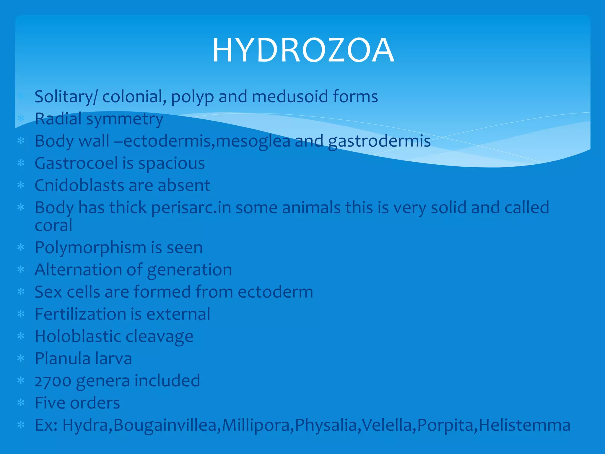  Solitary/ colonial, polyp and medusoid forms
 Radial symmetry
 Body wall –ectodermis,mesoglea and gastrodermis
 Gastrocoel is spacious
 Cnidoblasts are absent
 Body has thick perisarc.in some animals this is very solid and called
coral
 Polymorphism is seen
 Alternation of generation
 Sex cells are formed from ectoderm
 Fertilization is external
 Holoblastic cleavage
 Planula larva
 2700 genera included
 Five orders
 Ex: Hydra,Bougainvillea,Millipora,Physalia,Velella,Porpita,Helistemma
HYDROZOA
 