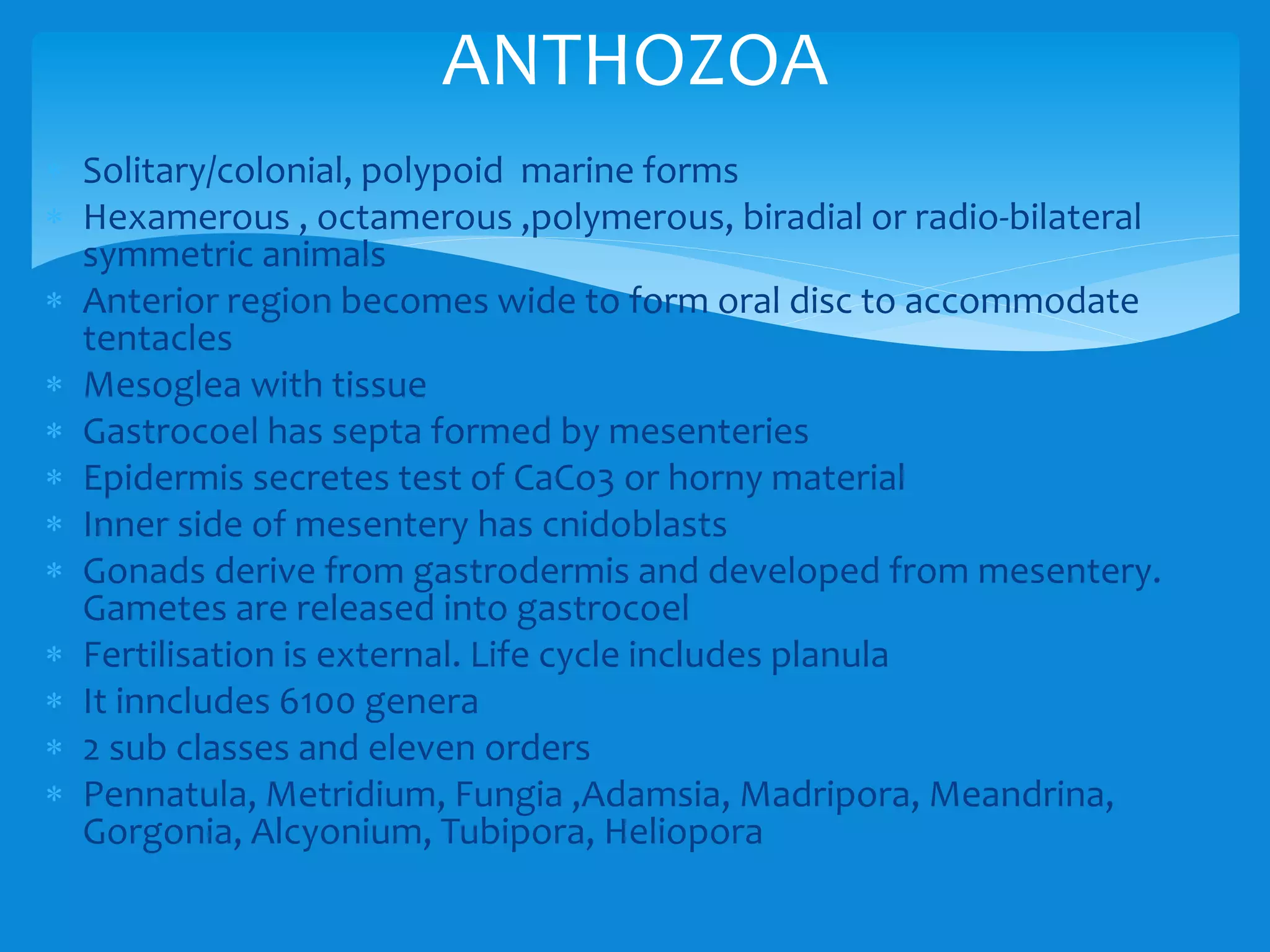  Solitary/colonial, polypoid marine forms
 Hexamerous , octamerous ,polymerous, biradial or radio-bilateral
symmetric animals
 Anterior region becomes wide to form oral disc to accommodate
tentacles
 Mesoglea with tissue
 Gastrocoel has septa formed by mesenteries
 Epidermis secretes test of CaCo3 or horny material
 Inner side of mesentery has cnidoblasts
 Gonads derive from gastrodermis and developed from mesentery.
Gametes are released into gastrocoel
 Fertilisation is external. Life cycle includes planula
 It inncludes 6100 genera
 2 sub classes and eleven orders
 Pennatula, Metridium, Fungia ,Adamsia, Madripora, Meandrina,
Gorgonia, Alcyonium, Tubipora, Heliopora
ANTHOZOA
 
