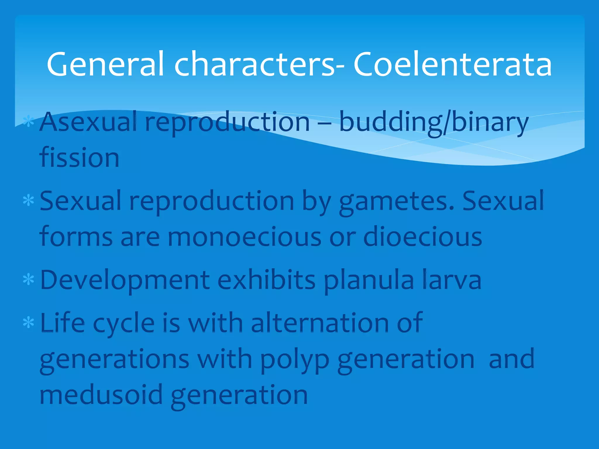 Asexual reproduction – budding/binary
fission
Sexual reproduction by gametes. Sexual
forms are monoecious or dioecious
Development exhibits planula larva
Life cycle is with alternation of
generations with polyp generation and
medusoid generation
General characters- Coelenterata
 