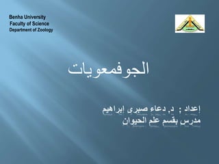 Benha University
Faculty of Science
Department of Zoology
 