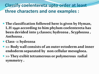 Classify coelentereta upto order at least
three characters and one examples :
 The classification followed here is given by Hyman,
L.H 1940 according to him phylum coelentereta has
been devided into 3 classes; hydrozoa , Scyphozoa ,
Anthozoa .
 Class- 1: hydrozoa
 >> Body wall consists of an outer ectoderm and inner
endoderm separated by non cellular mesogloea.
 >> They exibit tetramerous or polymerous radial
symmetry .
 