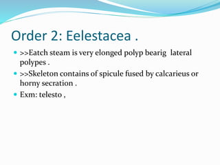 Order 2: Eelestacea .
 >>Eatch steam is very elonged polyp bearig lateral
polypes .
 >>Skeleton contains of spicule fused by calcarieus or
horny secration .
 Exm: telesto ,
 