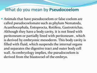 What do you mean by Pseudocoelom
 Animals that have pseudocoelom or false coelom are
called pseudocoelomate such as phylum Nematoda,
Acanthocephala, Entoprocta, Rotifera, Gastrotricha1.
Although they have a body cavity, it is not lined with
peritoneum or partially lined with peritoneum , which
is derived by embryonic mesoderm. This body cavity is
filled with fluid, which suspends the internal organs
and separates the digestive tract and outer body cell
wall. As embryology implies, the pseudocoelom is
derived from the blastocoel of the embryo.
 