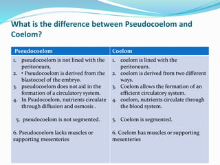 What is the difference between Pseudocoelom and
Coelom?
Pseudocoelom Coelom
1. pseudocoelom is not lined with the
peritoneum,
2. • Pseudocoelom is derived from the
blastocoel of the embryo.
3. pseudocoelom does not aid in the
formation of a circulatory system.
4. In Psudocoelom, nutrients circulate
through diffusion and osmosis .
5. pseudocoelom is not segmented.
6. Pseudocoelom lacks muscles or
supporting mesenteries
1. coelom is lined with the
peritoneum.
2. coelom is derived from two different
ways.
3. Coelom allows the formation of an
efficient circulatory system.
4. coelom, nutrients circulate through
the blood system.
5. Coelom is segmented.
6. Coelom has muscles or supporting
mesenteries
 