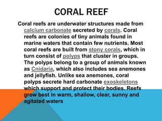 CORAL REEF
Coral reefs are underwater structures made from
calcium carbonate secreted by corals. Coral
reefs are colonies of tiny animals found in
marine waters that contain few nutrients. Most
coral reefs are built from stony corals, which in
turn consist of polyps that cluster in groups.
The polyps belong to a group of animals known
as Cnidaria, which also includes sea anemones
and jellyfish. Unlike sea anemones, coral
polyps secrete hard carbonate exoskeletons
which support and protect their bodies. Reefs
grow best in warm, shallow, clear, sunny and
agitated waters
 