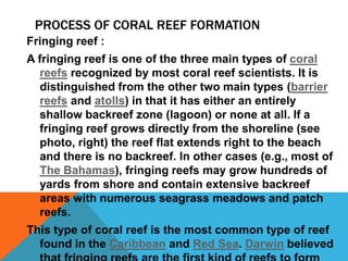 PROCESS OF CORAL REEF FORMATION
Fringing reef :
A fringing reef is one of the three main types of coral
reefs recognized by most coral reef scientists. It is
distinguished from the other two main types (barrier
reefs and atolls) in that it has either an entirely
shallow backreef zone (lagoon) or none at all. If a
fringing reef grows directly from the shoreline (see
photo, right) the reef flat extends right to the beach
and there is no backreef. In other cases (e.g., most of
The Bahamas), fringing reefs may grow hundreds of
yards from shore and contain extensive backreef
areas with numerous seagrass meadows and patch
reefs.
This type of coral reef is the most common type of reef
found in the Caribbean and Red Sea. Darwin believed
 