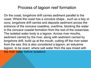 Process of lagoon reef formation
On the coast, longshore drift carries sediment parallel to the
coast. Where the coast has a concave shape , such as a bay or
cove, longshore drift carries and deposits sediment across the
entrance of the concave coastline, overtime, blocking the water
in the concave coastal formation from the rest of the ocean/sea.
The isolated water body is a lagoon. Across river mouths,
sediment carried by the river, along with sediment carried by
longshore drift, build up at the mouth, cutting off the river water
from the sea; this is also considered a lagoon; an estuarine
lagoon, to be exact, where salt water from the sea mixed with
the river water before isolationl.
 
