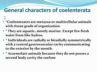 General characters of coelenterata
:
 *Coelenterates are metazoa or multicellular animals
with tissue grade of organization.
 * They are aquatic, mostly marine. Except few fresh
water from like hydras.
 * Individuals are radially or biradially symmetrically
with a central gastrovuscular cavity communicating
to the exterior by the mouth.
 * Acoemolate animals because they do not posses a
second body cavity the coelom
 