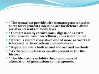  * The tentaclesr provide with nematocysts; tentacles
surve for capture;its injestion are for defence ,these
are also presents on body layer
 * they are usually carnivorous , digestion is extra
cellular as well as intra cellular , anus is not found .
 * Nervous system consists of one of more networks.It
is located in the ectoderm and endoderm .
 * Reproduction is both sexual and asexual methods.
 * A ciliated plnula larva usually present in the life
history.
 * The life history exhibits the phenomena of
alternation of generations or metagenesis .
 
