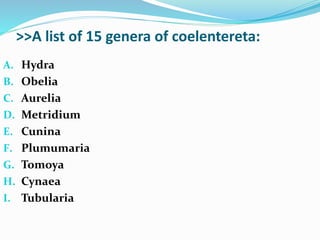 >>A list of 15 genera of coelentereta:
A. Hydra
B. Obelia
C. Aurelia
D. Metridium
E. Cunina
F. Plumumaria
G. Tomoya
H. Cynaea
I. Tubularia
 