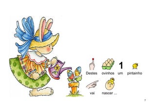 Destes ovinhos um pintainho
vai nascer ...
7