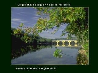 “Lo que ahoga a alguien no es caerse al río,

sino mantenerse sumergido en él.”

 