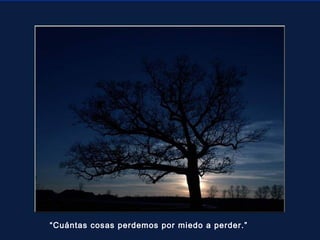 “Cuántas cosas perdemos por miedo a perder.”

 