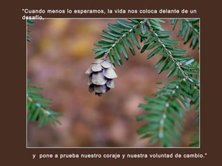 “Cuando menos lo esperamos, la vida nos coloca delante de un
desafío,

y pone a prueba nuestro coraje y nuestra voluntad de cambio.”

 