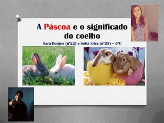 A Páscoa e o significado
       do coelho
 Sara Borges (nº22) e Sofia Silva (nº25) – 5ºC
 