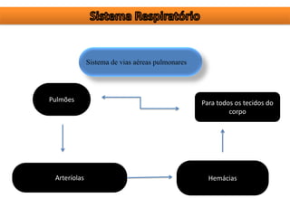 Sistema de vias aéreas pulmonares
Arteríolas Hemácias
Para todos os tecidos do
corpo
Pulmões
 