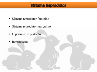 • Sistema reprodutor feminino
• Sistema reprodutor masculino
• O período de gestação
• Reprodução
 