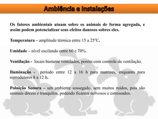 Os fatores ambientais atuam sobre os animais de forma agregada, e
assim podem potencializar seus efeitos danosos sobres eles.
Temperatura – amplitude térmica entre 15 a 25ºC.
Umidade – nível oscilando entre 60 e 70%.
Ventilação - locais bastante ventilados, porém com controle da ventilação.
Iluminação - período entre 12 a 16 h para matrizes, enquanto para
reprodutores 8 a 12 h.
Poluição Sonora – um ambiente sossegado, sem muitos ruídos, pois são
animais dóceis e tranquilos, podendo ficarem nervosos e estressados.
 